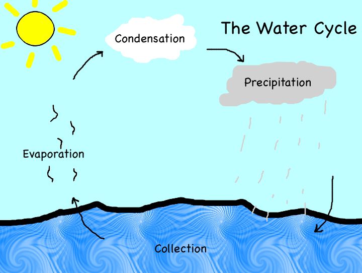 Diagram Of Water Cycles For Students 83